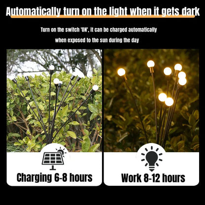 Solar Garden Lights 